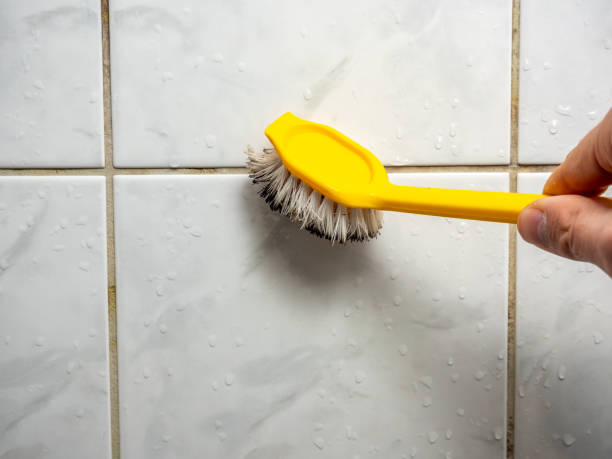 Best Toxic Mold Removal  in Endicott, NY