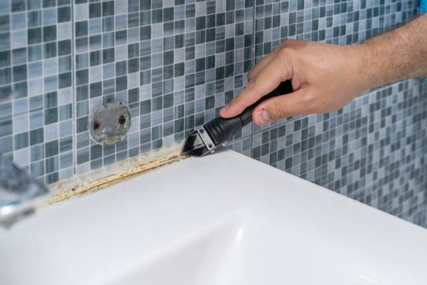 Best Commercial Mold Removal  in Endicott, NY