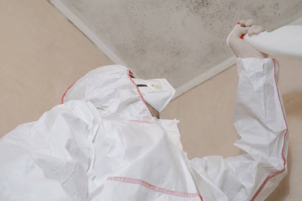 Endicott, NY Mold Removal Company